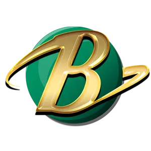 bumi303